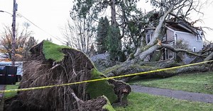 Here’s how much WA bomb cyclone cost Snohomish County