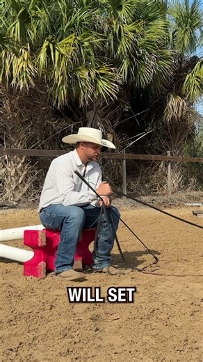 Are you being a good leader for your horse? Full video on Patreon!