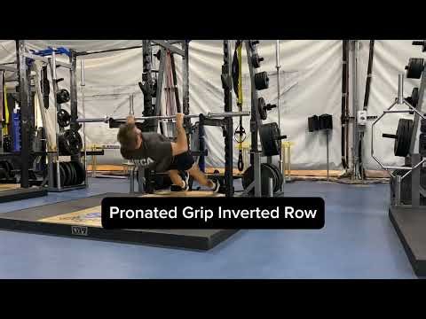 Inverted Row Variations