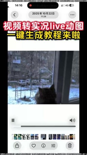 视频怎么变成实况live动图照片教程来了 视频转live图一键生成gif动图华为视频转成实况live动图小米视频转实况动图视频转live实况教程安卓手机视频转实况动图视频卡图文制作教程live动图教程剪映视频转实况视频怎么转动态壁纸教程安卓视频转实况动图视频转实况照片怎么把视频变成实况照片视频怎么变成实况照片苹果视频怎么变成实况live动图软件live实况动图教程