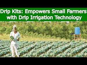 Farmers' experience with Driptech's Drip Kits