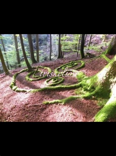 triskelion symbol | celtic trinity #triskele #triskelion #celtics #pagan #ireland