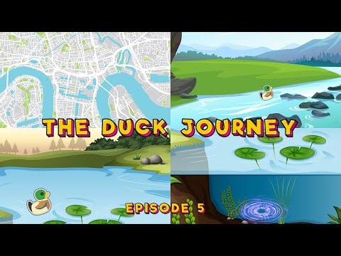 The Duck Journey - épisode 5 - replay du 28 mars 2021