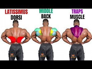 TOP 15 BEST BACK WORKOUT AT GYM ( LATISSIMUS DORSI ,MIDDLE, BACK TRAPS MUSCLE )