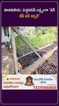 మానవపాడు: పచ్చదనమే లక్ష్యంగా 'వన్ జీపీ వన్ నర్సరీ'
