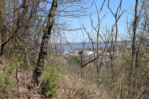 These 7 acres of Staten Island land could be saved from development with state aid