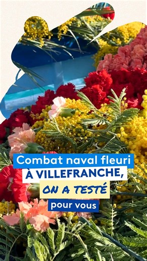 🏵💐 La 122e édition du traditionnel combat naval fleuri a eu lieu ce lundi 16 février à Villefranche-sur-Mer. Oeillets et mimosa ont été lancés sous un beau ciel bleu où 5 000 curieux étaient réunis. Nous avons embarqué sur un pointu pour y participer, on vous raconte ! 👉 https://france3-regions.franceinfo.fr/provence-alpes-cote-d-azur/alpes-maritimes/nice/on-veut-des-fleurs-lancer-des-illets-et-du-mimosa-on-a-teste-le-combat-naval-fleuri-de-villefranche-sur-mer-3300444.html #mimosa #villefran