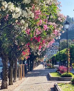 87K views · 10K reactions | Bellagio is a very pretty shopping center which is often crowded elbow-to-elbow with tourists | Lake Como | Facebook