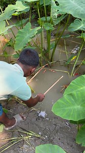 Unbelievable fishing by hook | Fishing & Village Tradition