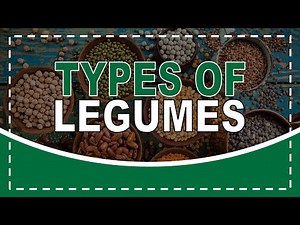 TYPES OF LEGUMES