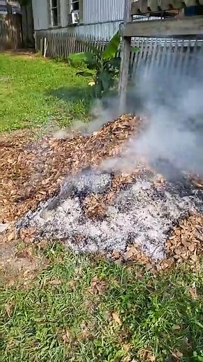 Penny Thomas on Reels | Facebook