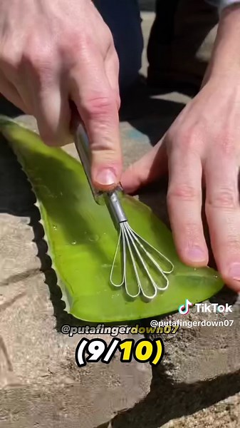 Put a Finger down: best friend edition! #putafingerdownchallenge #putafingerdown #putfingerdownchallenge #putafingerdown #bestfriend #bff