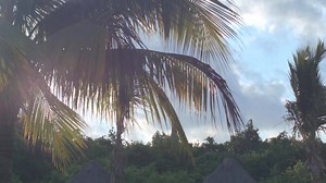 Viví la experiencia de resort #allinclusive más lujosa del #Caribe: Paradisus by Melia. Enormes piscinas tipo laguna, suites elegantes, restaurantes con chefs de nivel internacional y un spa espectacular en cada complejo. Todo eso sobre las mejores playas de arenas blancas de #Cancún, #PlayaDelCarmen, #LosCabos, #PuntaCana, #PlayaEsmeralda y #Varadero con el servicio exclusivo de #Paradisus. See for yourself. #WHEREYOUWANTTOBE | Abtour