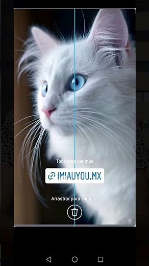 💜 How to Add Links to Instagram 2022 [UPDATED]