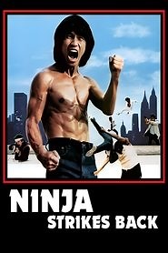 Bruce Strikes Back (1982) - AZ Movies