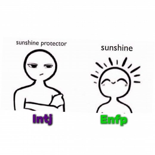 My Favorite Ship: ENFP and INTJ | MBTI Edit