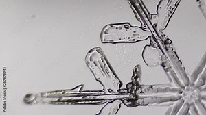 part of the snowflake rays melt under the microscope