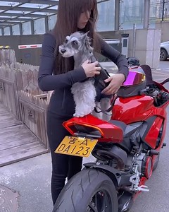 The perfect ride partner! | Make-Up & Hair Tutorials