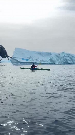 Cuverville Island Antarctica 🇦🇶 | Chung Kin Man
