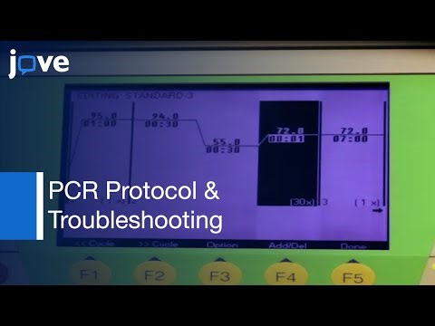 Polymerase Chain Reaction (PCR) Protocol, Troubleshooting & Optimization