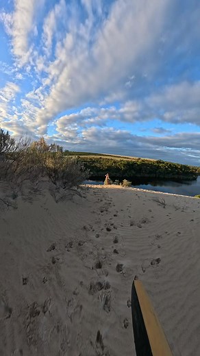 Day 41 of trying to cross the river. @Oliver Tree RIP @GoPro #fyp #mooreriver #goprohero13 #australia #sanddune