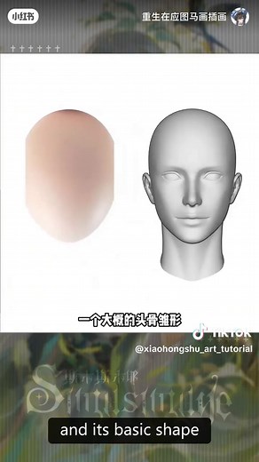 How to Draw Anime Style Face – Easy Digital Art Tips