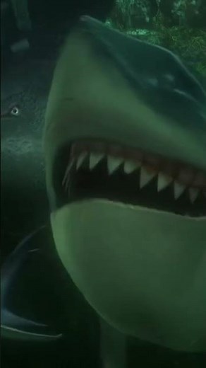 Did you catch the hyper emotional Bruce in Finding Nemo