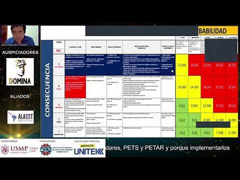 Importancia de los Estándares, PETS, PETAR y porque implementarlos.