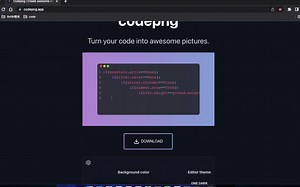 把代码敲成图片