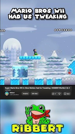 Ice Riding In Mairo Bros Wii