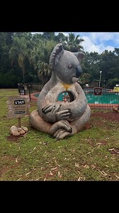 55 reactions | Meet a Python everyday at the 1pm animal show like @danitoy9 #python #snake #reptile #awesome #yeppoon #fyp | Cooberrie Park Wildlife Sanctuary | Facebook