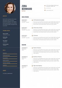 Politician Resume | Resume Example