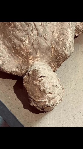 Pompeii was hit by an extreme volcano eruption and stayed frozen in time for thousands of years. Once a bustling city in Italy, Pompeii was destroyed when the volcano Mount Vesuvius erupted. It was just miles away and buried the whole city. When it was rediscovered after thousands of years of being under ash, everything was preserved. #darktourism#darktourist#pompeii#italy#darktravel