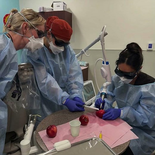 Solea Training at NYU Langone – Hawaii Completed!