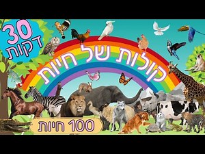 חיות לילדים קולות של חיות לתינוקות ופעוטות בעברית מילים ראשונות