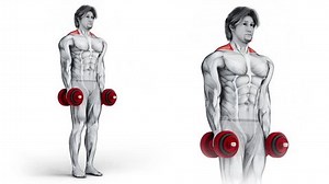 Traps Dumbbell Shrug-3d 267-anatomy Fitness Bodybuilding Stock Footage Video (100% Royalty-free) 1111009855 | Shutterstock