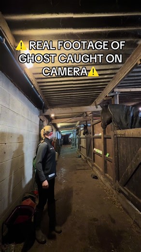 Real Footage of Ghost in Equestrian Setting
