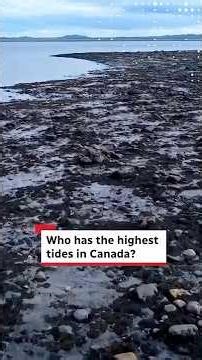 Who has the highest tides in Canada?