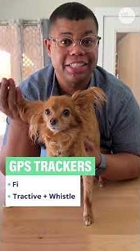 How to track pets: AirTags, GPS trackers and other options