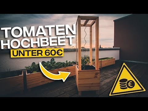 Successfully growing tomatoes in a raised bed | Build your own tomato raised bed for under €60