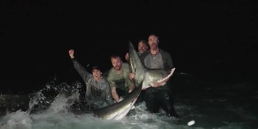 Anglers catch 13-foot great white shark along Florida beach