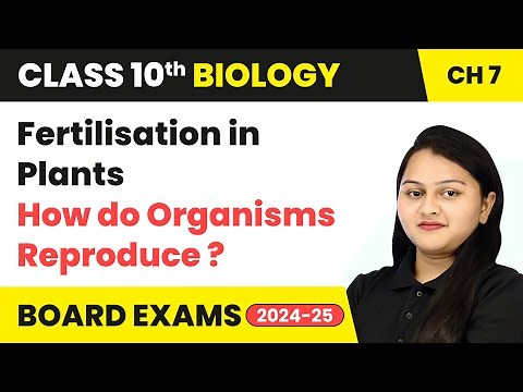 Fertilisation in Plants - How do Organisms Reproduce | Class 10 Biology Chapter 7 | CBSE 2024-25