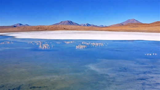 Could this be one of Bolivia’s flamingo lakes in the Andes?
