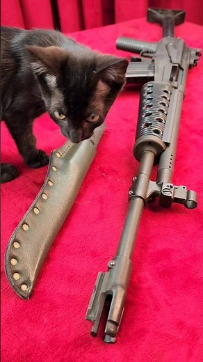 Finland Valmet M62/s RK-62 Bayonet