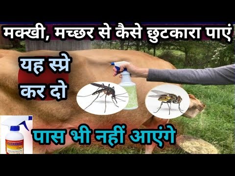 मक्खी, मच्छर से कैसे छुटकारा पाएं||यह स्प्रे कर दो, पास भी नहीं आएगी Makhi Machar bhagane ka Spray