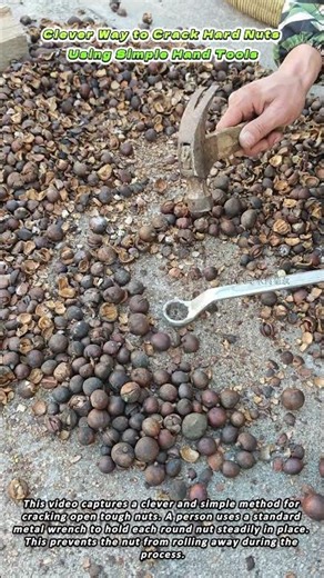 Clever Way to Crack Hard Nuts Using Simple Hand Tools