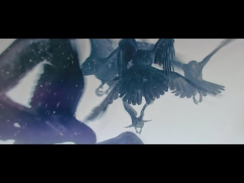 アリス九號.「AFTER DARK」Music Video