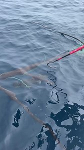 5.4M views · 10K reactions | Gotta be quicker than that 瞧 Get the fish in the boat with the carbon fiber Portable Gaff from #Bubba | BUBBA | Facebook