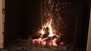 Log fire