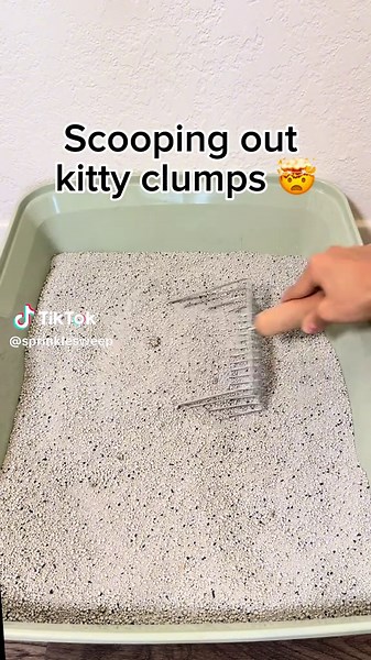 This Speed Sifter scoops out big and small clumps without causing dust clouds 🙌🏼 A great gift for your loved ones this holiday season 🎁 #scoopinglitter #speedsifter #petproducts